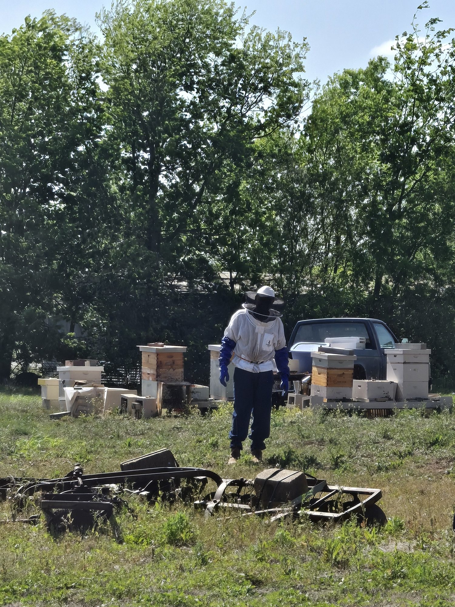 Frank at the bee yard in McGregor